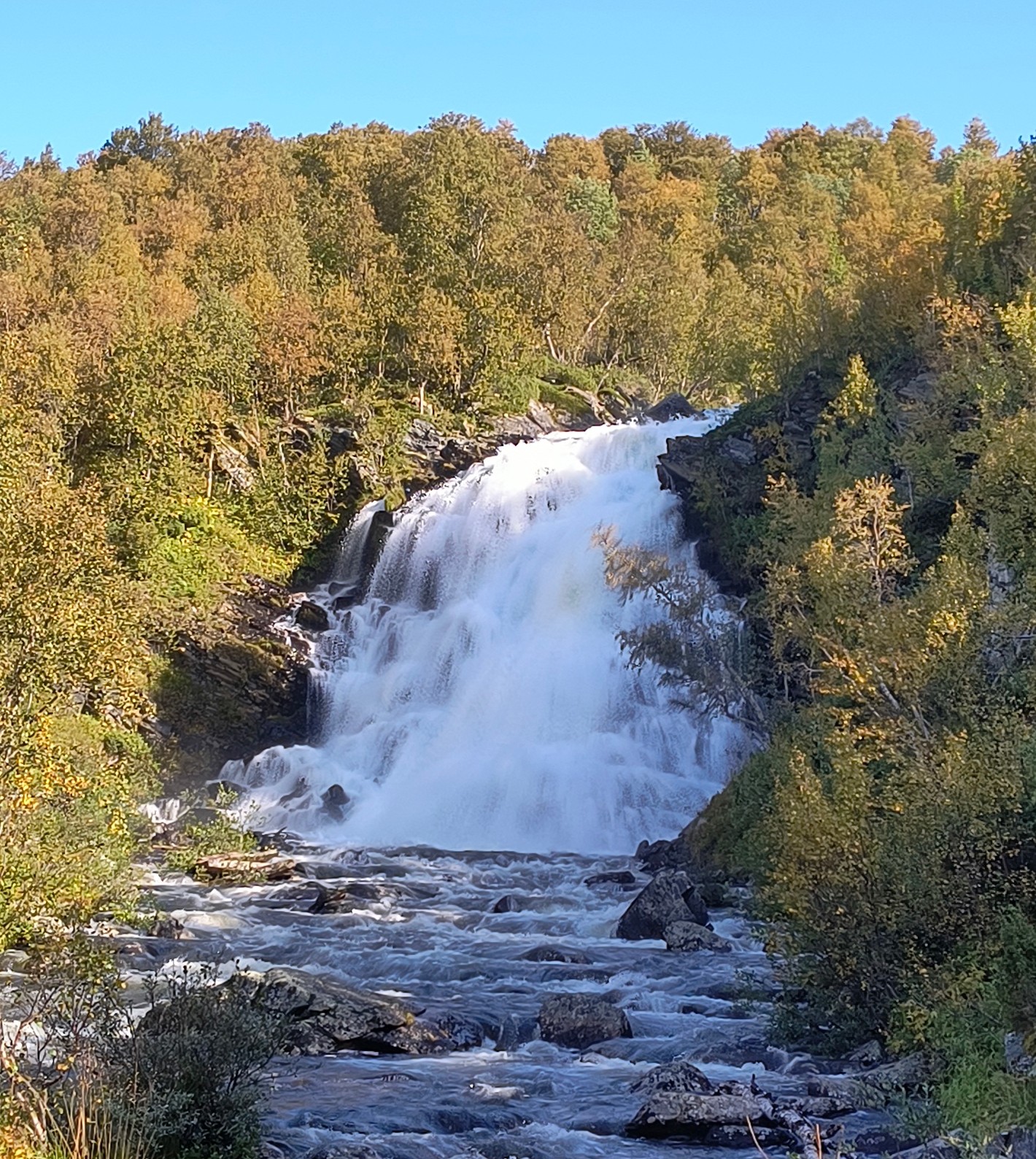 IMG_20240824_102452117